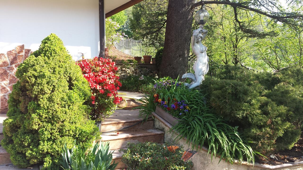 B&B Al Cedro Sporminore Εξωτερικό φωτογραφία